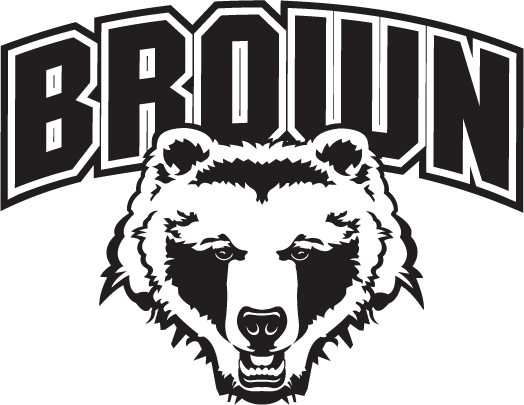 Brown Bears 1997-Pres Alternate Logo iron on transfers for T-shirts